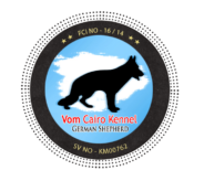 Vom Cairo